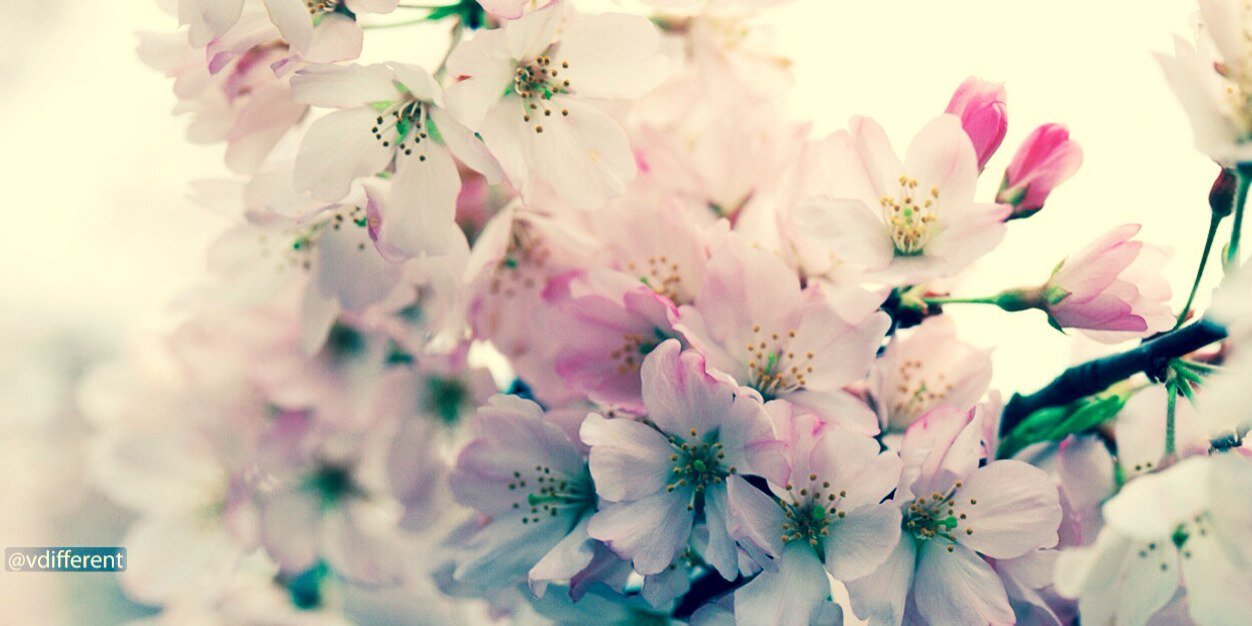 Nona201311's profile banner image