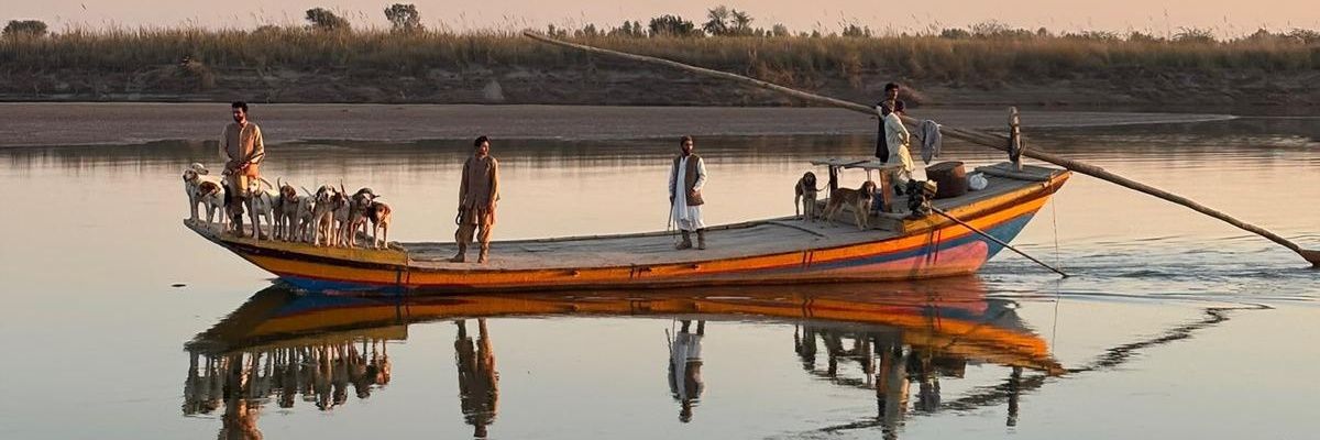 SENS & PARTNERS banner