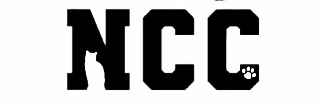 Newstate Cat Custom 公式 banner