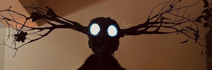 Giralunitis's profile banner image