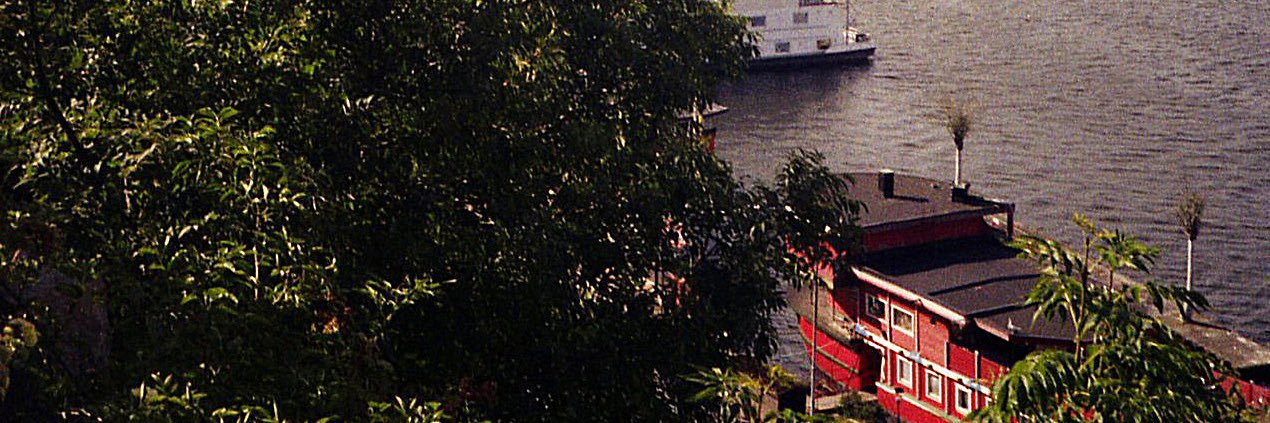 iresaurio's profile banner image