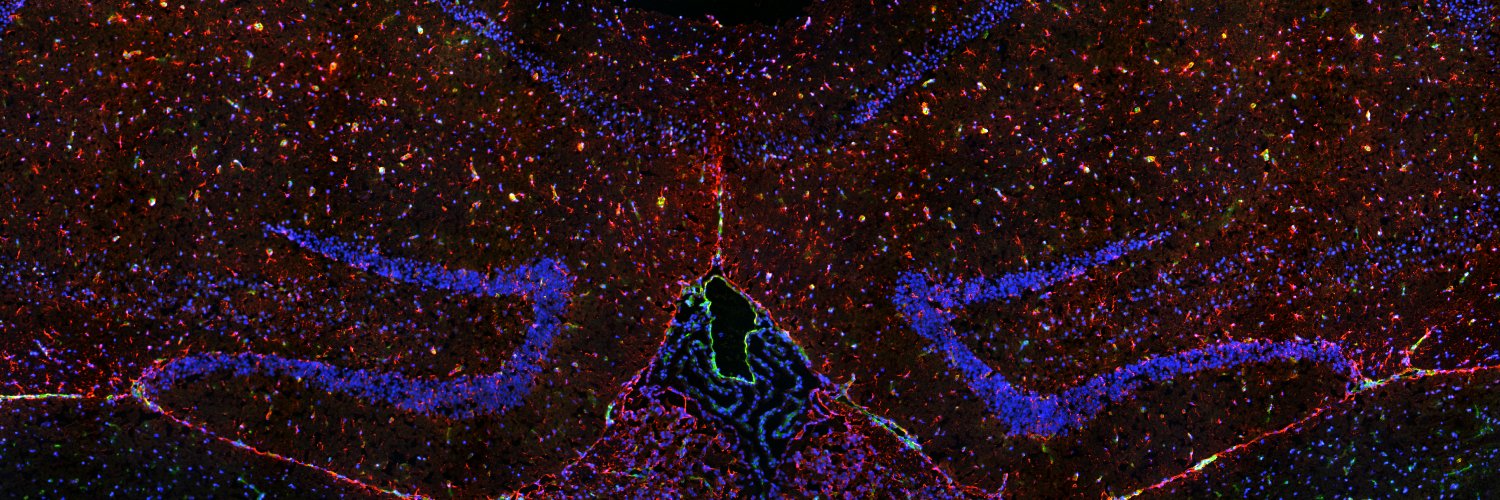 Kimberly Toops banner