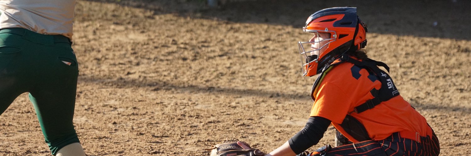 Julia Snelling 2024 banner