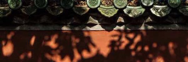 ChenTangMark Profile Banner