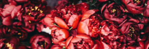 Sabatinialpoder's profile banner image