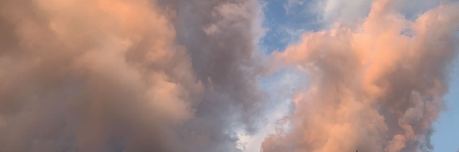 sam bahnick banner