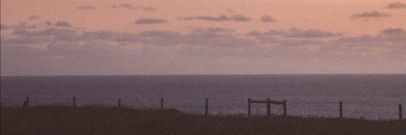 Pajai🌙 banner