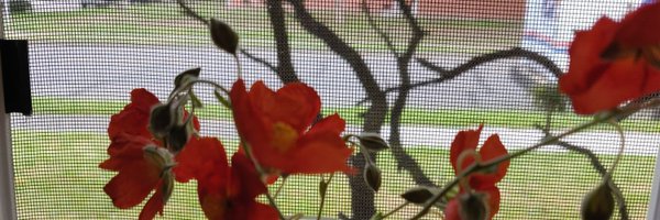 PerfumedZ Profile Banner