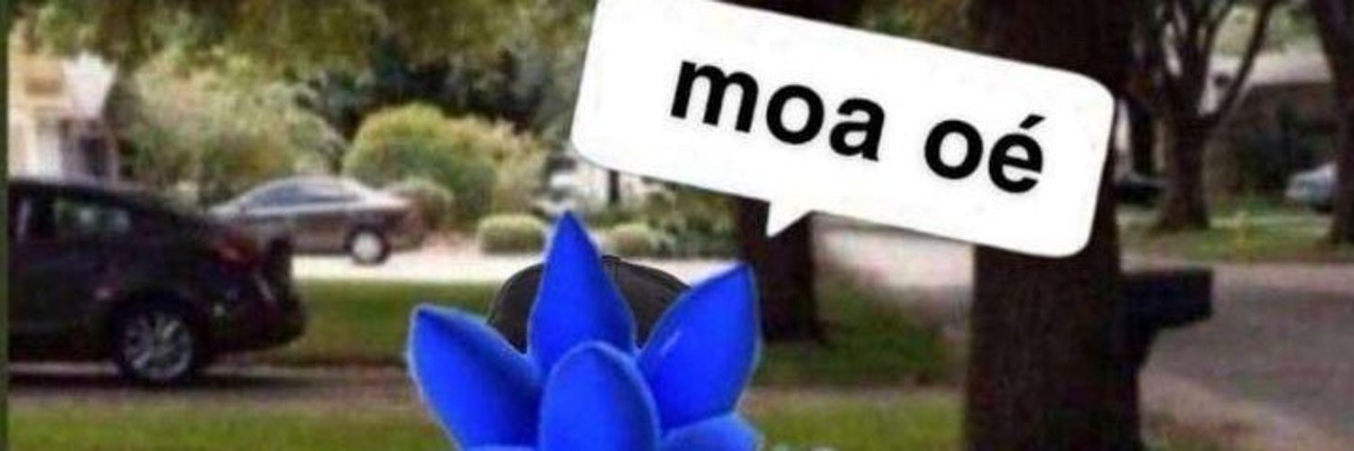 LeKokoBaba's profile banner image