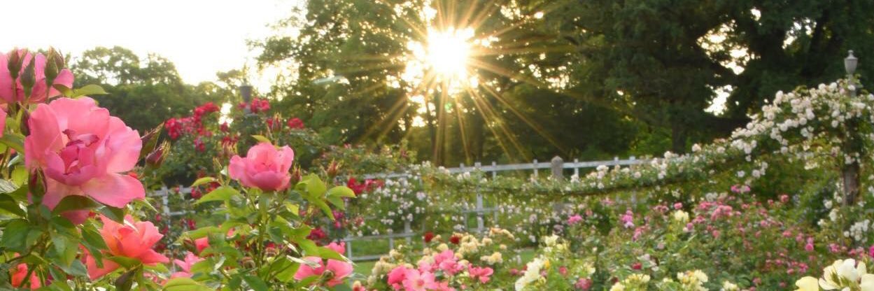 MadamBenoit's profile banner image