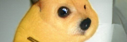 dog_fakes banner