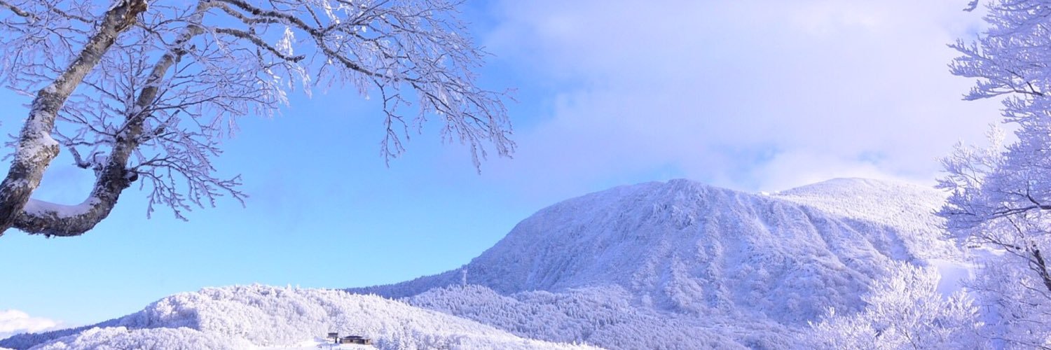 BerryMasaki's profile banner image