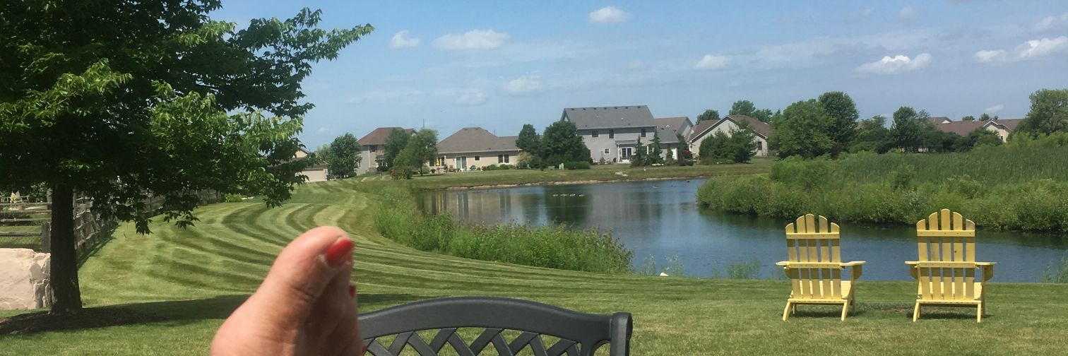 mrosariop's profile banner image