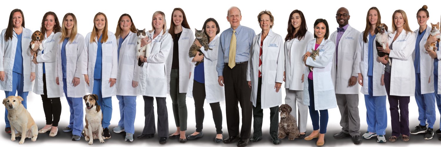 AMHCharlotte's profile banner image