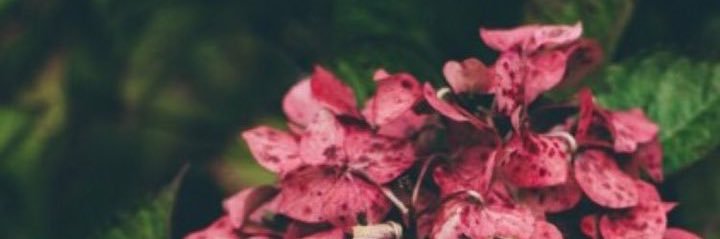 S012M012's profile banner image