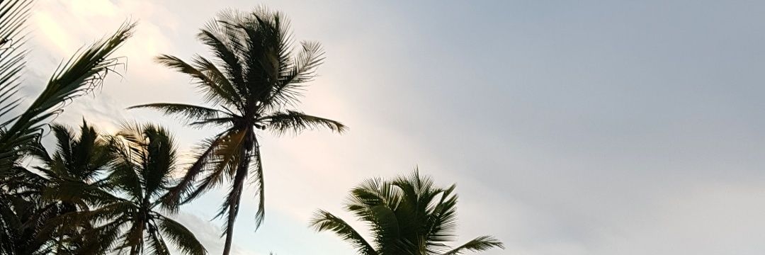 VKissila's profile banner image