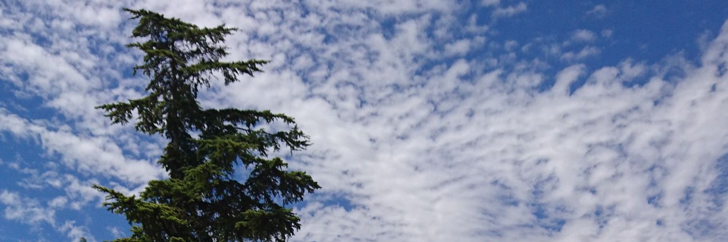 CastellRuiz's profile banner image