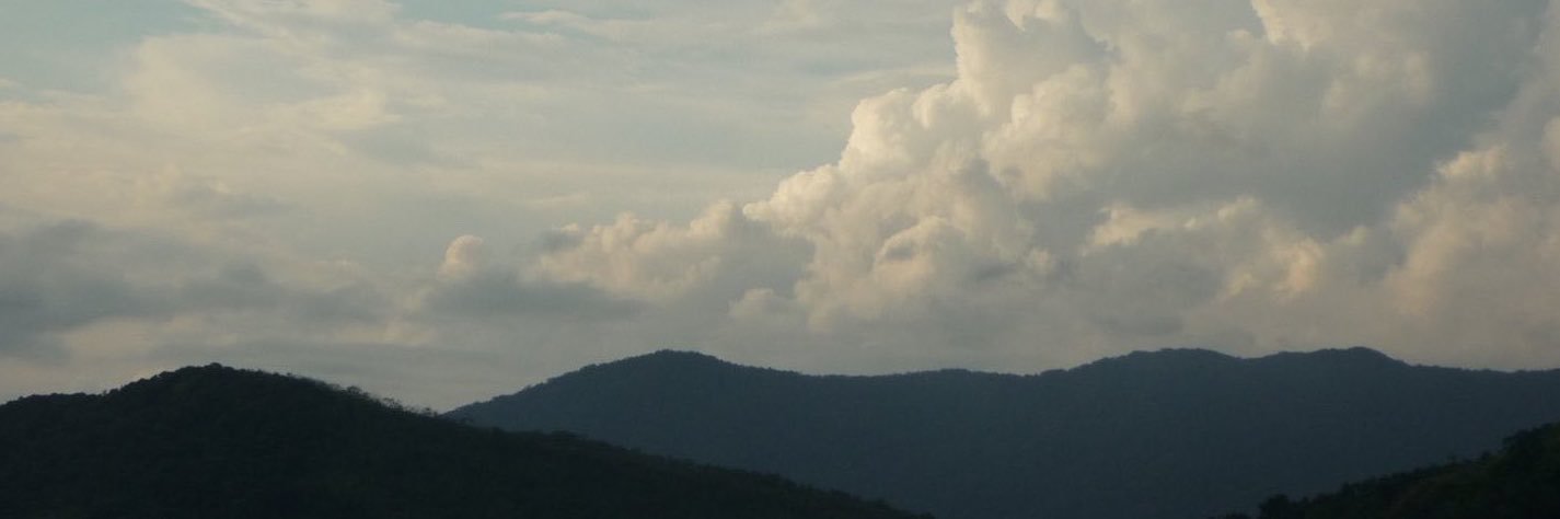afrogdite's profile banner image