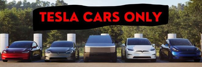 teslacarsonily's profile banner image