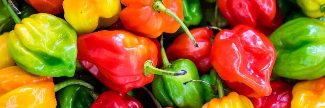 Zepiss 🌶 banner