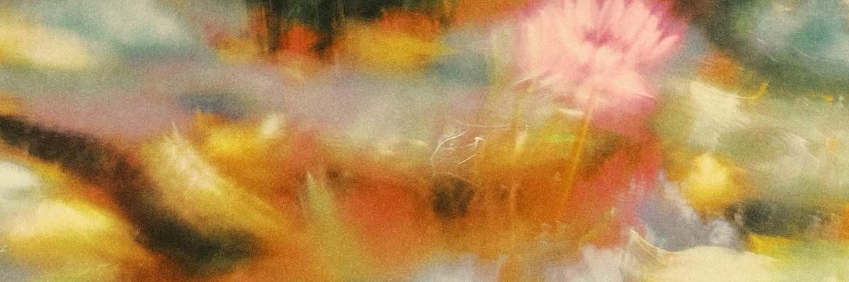 sianirenee's profile banner image