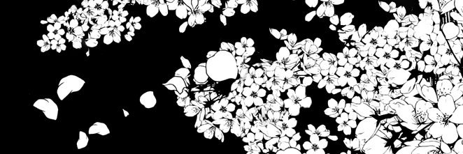 naexbae's profile banner image