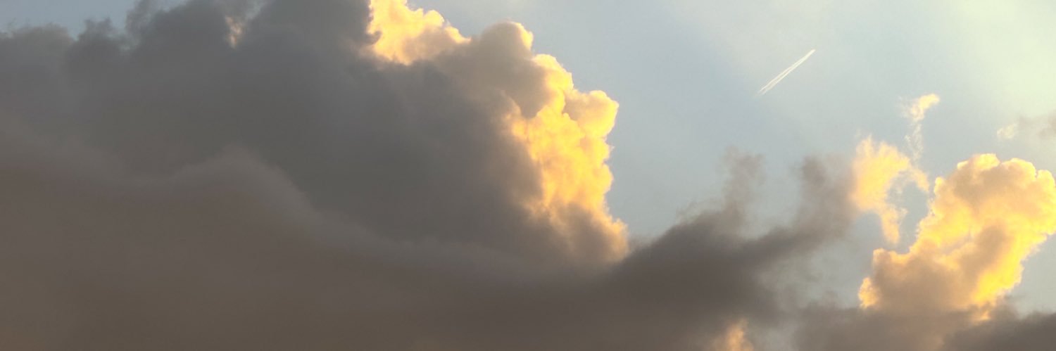 elyse_brown's profile banner image