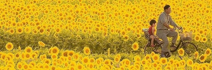 دکتر شیوَکـ banner