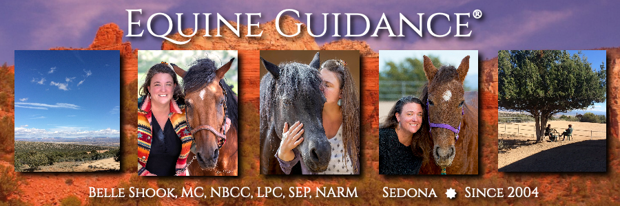 Belle Shook, LPC, SEP, NARM, Equine Guidance® banner