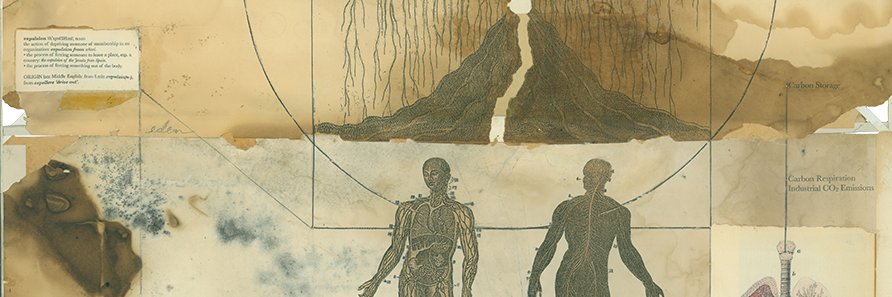 Núcleo de Estudios Sociales de la Salud banner