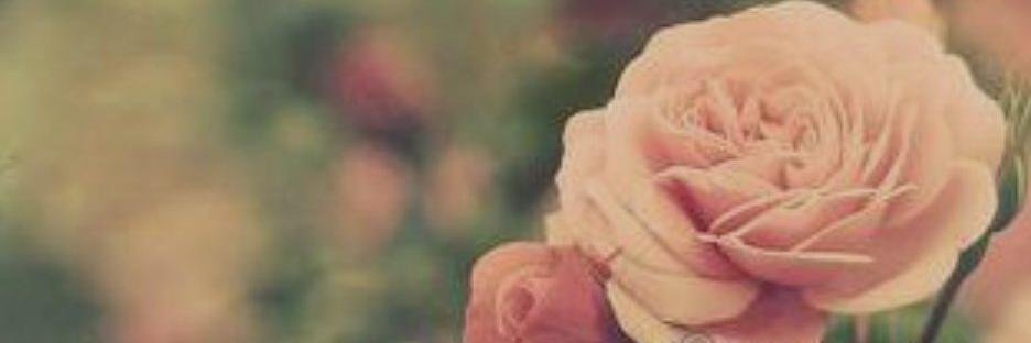 Zaina3li's profile banner image