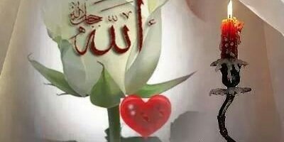 Nadia3amer's profile banner image