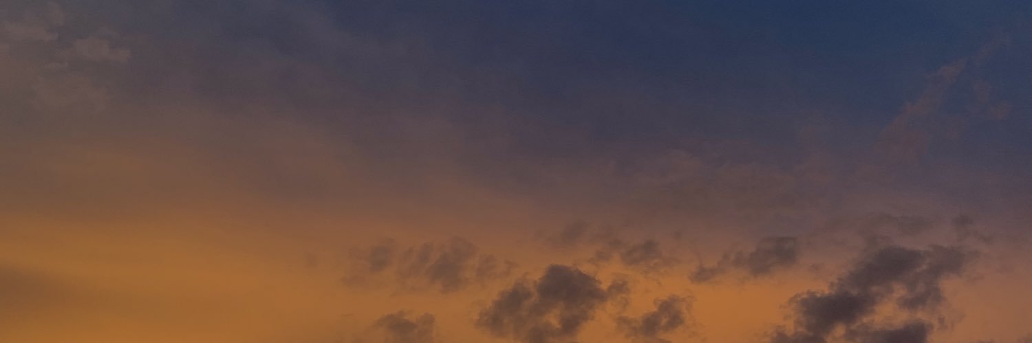 ip9881 banner