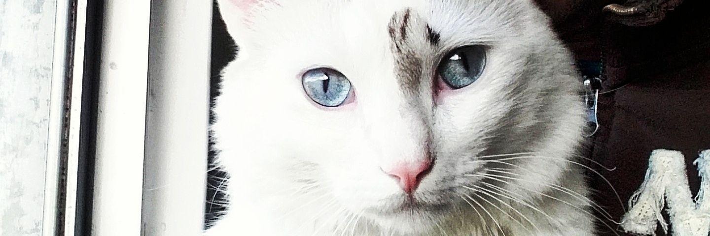 DYOSORIO's profile banner image