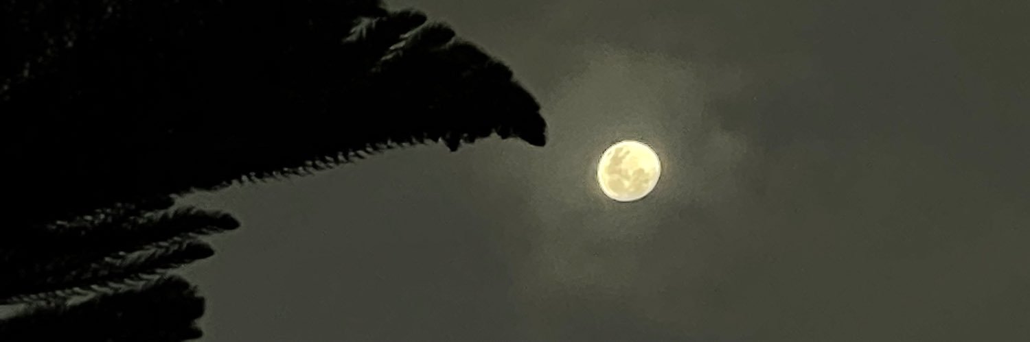 AngelMe80315758's profile banner image