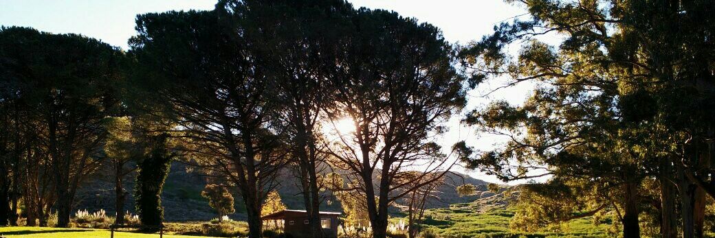 PaezAguus's profile banner image