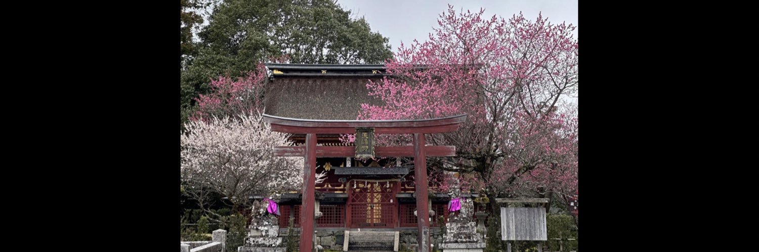 FIGJAM Meghan banner