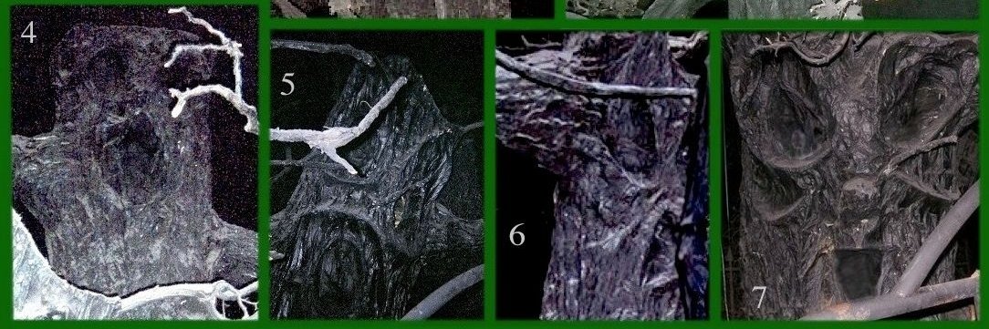 SEMATARY GRAVE MAN ✟ ✟ ✟'s banner