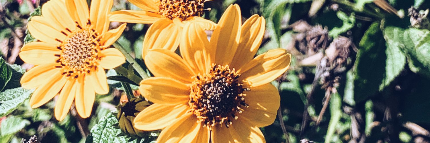 JoseNoJuice's profile banner image