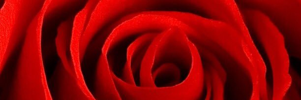 SJohnkoster's profile banner image