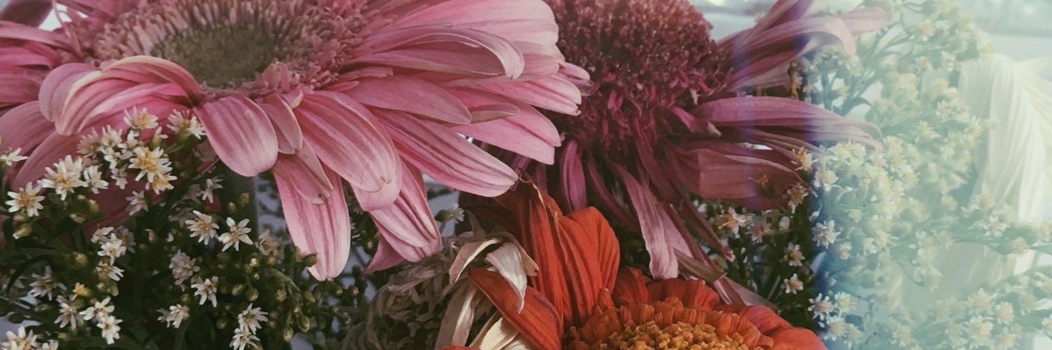 Fernandaaffs's profile banner image
