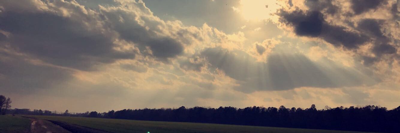 aubreeyy1's profile banner image