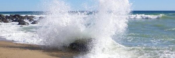 LPeppone Profile Banner