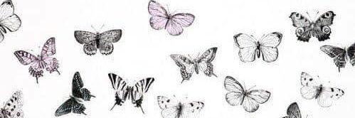 starrycoyotes's profile banner image