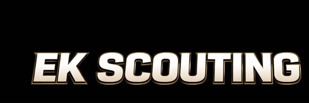 EK - Scouting banner