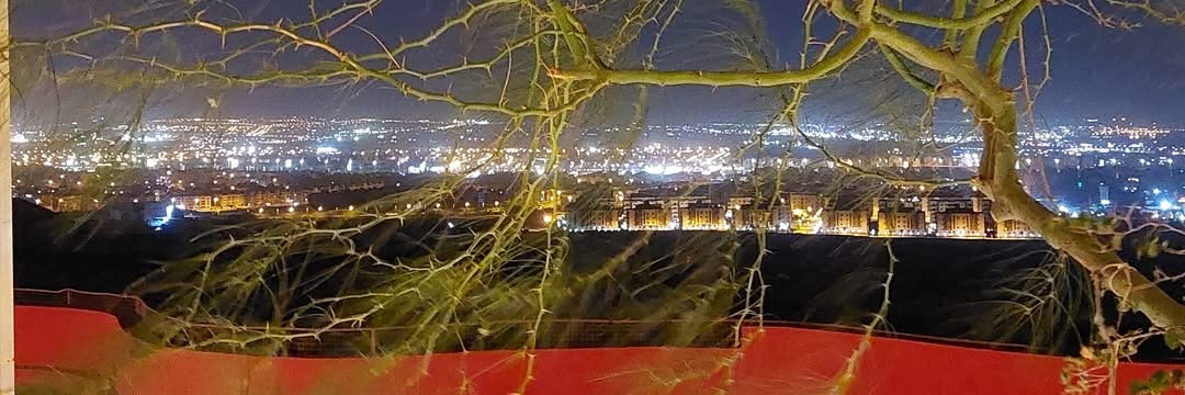 Dr. Nagla S. Kamel banner