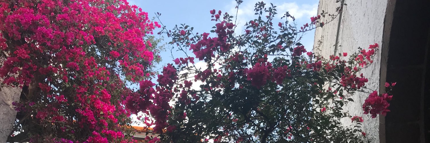 Rocking Granny banner