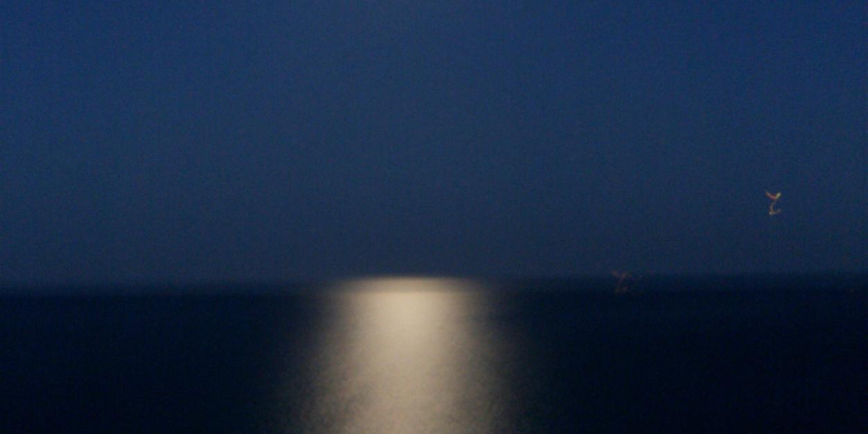 MariaEParisi's profile banner image