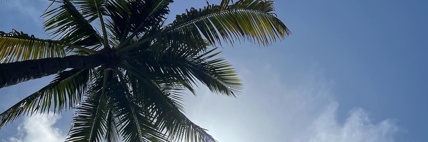 caaamyoung's profile banner image
