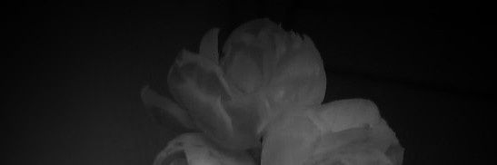 Imam46199545's profile banner image